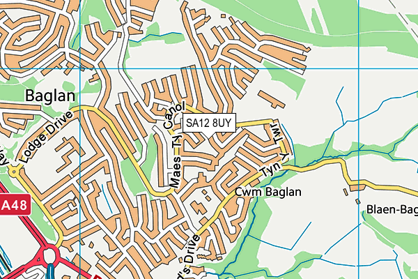 SA12 8UY map - OS VectorMap District (Ordnance Survey)
