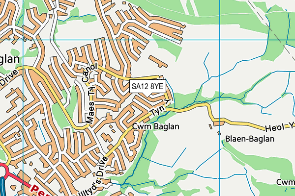 SA12 8YE map - OS VectorMap District (Ordnance Survey) SA12 8YE map - OS VectorMap District (Ordnance Survey)