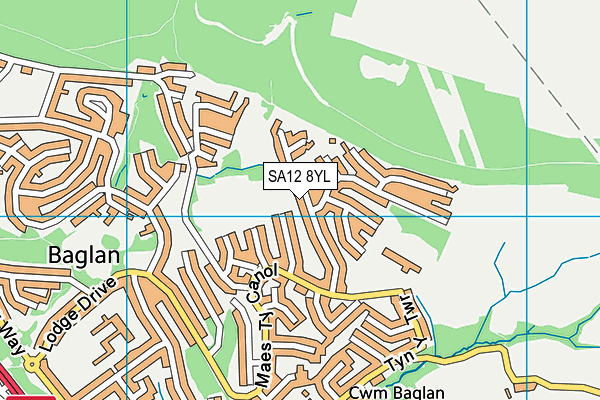 SA12 8YL map - OS VectorMap District (Ordnance Survey) SA12 8YL map - OS VectorMap District (Ordnance Survey)