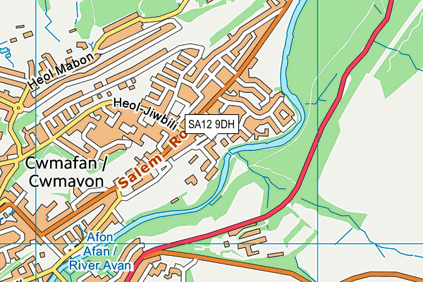 SA12 9DH map - OS VectorMap District (Ordnance Survey) SA12 9DH map - OS VectorMap District (Ordnance Survey)
