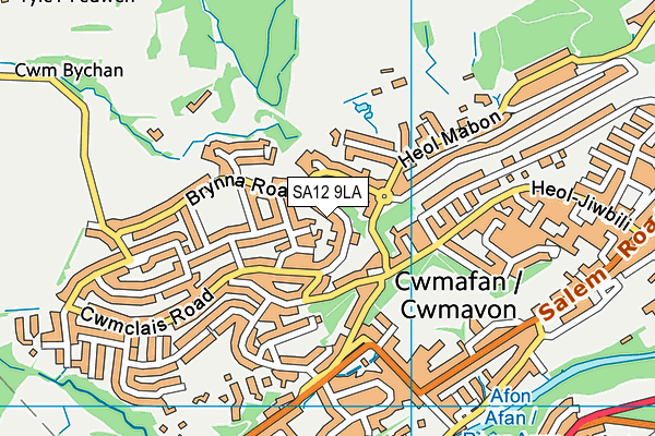 SA12 9LA map - OS VectorMap District (Ordnance Survey) SA12 9LA map - OS VectorMap District (Ordnance Survey)
