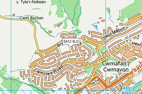 SA12 9LG map - OS VectorMap District (Ordnance Survey) SA12 9LG map - OS VectorMap District (Ordnance Survey)