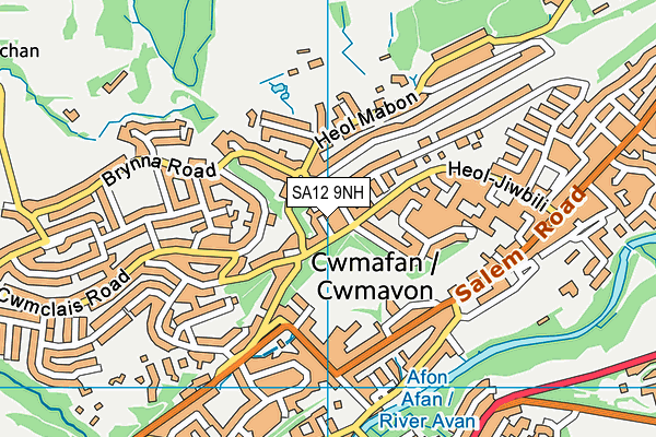 SA12 9NH map - OS VectorMap District (Ordnance Survey)