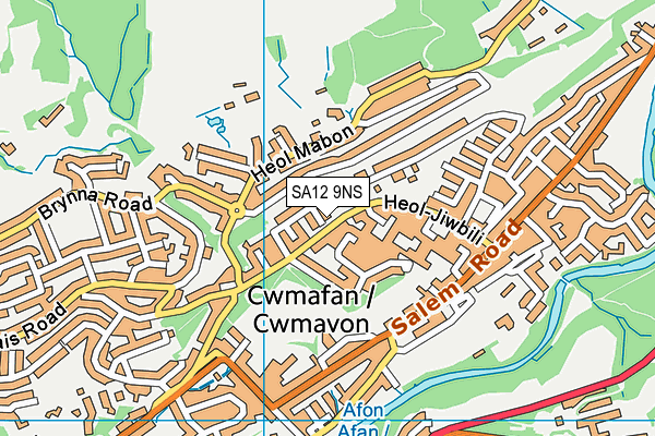 SA12 9NS map - OS VectorMap District (Ordnance Survey) SA12 9NS map - OS VectorMap District (Ordnance Survey)