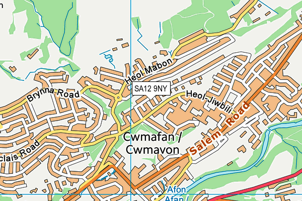 SA12 9NY map - OS VectorMap District (Ordnance Survey) SA12 9NY map - OS VectorMap District (Ordnance Survey)