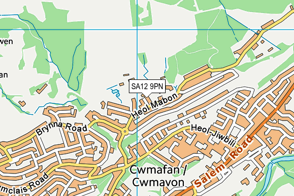 SA12 9PN map - OS VectorMap District (Ordnance Survey) SA12 9PN map - OS VectorMap District (Ordnance Survey)