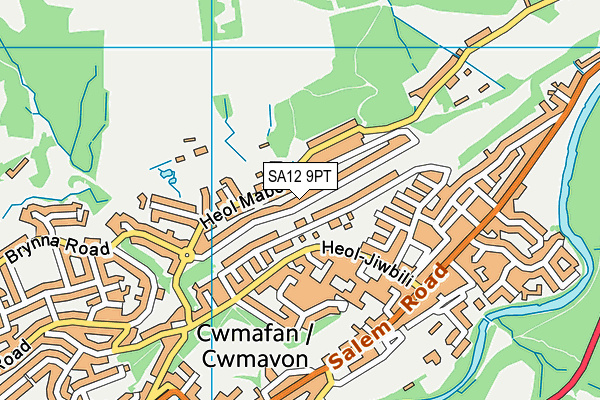 SA12 9PT map - OS VectorMap District (Ordnance Survey)