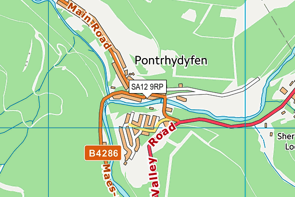SA12 9RP map - OS VectorMap District (Ordnance Survey) SA12 9RP map - OS VectorMap District (Ordnance Survey)