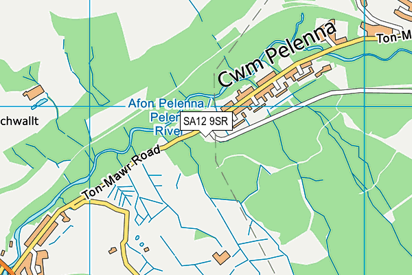 SA12 9SR map - OS VectorMap District (Ordnance Survey) SA12 9SR map - OS VectorMap District (Ordnance Survey)