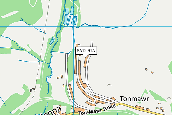 SA12 9TA map - OS VectorMap District (Ordnance Survey) SA12 9TA map - OS VectorMap District (Ordnance Survey)