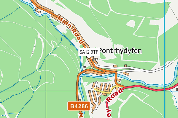 SA12 9TF map - OS VectorMap District (Ordnance Survey) SA12 9TF map - OS VectorMap District (Ordnance Survey)