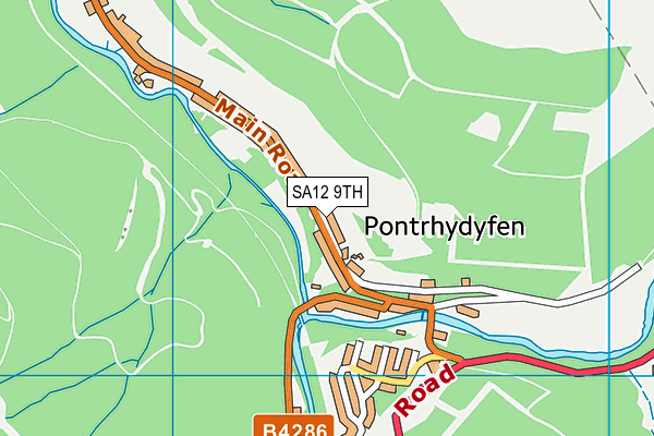 SA12 9TH map - OS VectorMap District (Ordnance Survey)