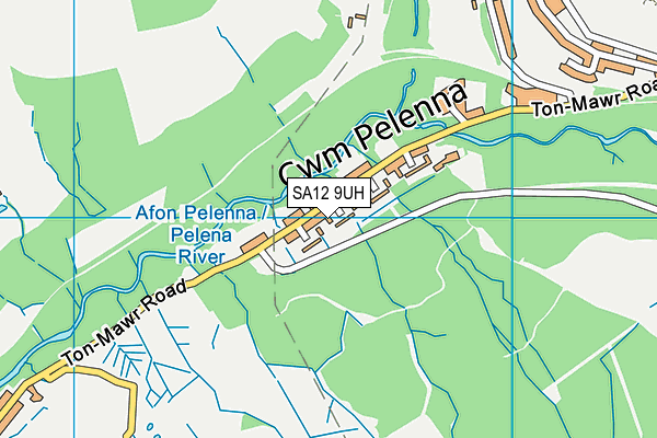 SA12 9UH map - OS VectorMap District (Ordnance Survey) SA12 9UH map - OS VectorMap District (Ordnance Survey)