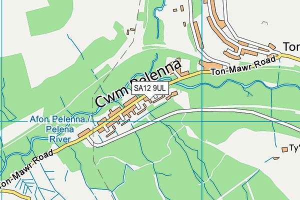 SA12 9UL map - OS VectorMap District (Ordnance Survey) SA12 9UL map - OS VectorMap District (Ordnance Survey)