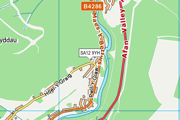 SA12 9YH map - OS VectorMap District (Ordnance Survey)