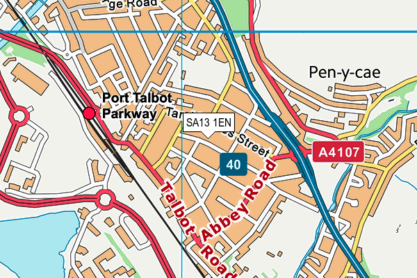 SA13 1EN map - OS VectorMap District (Ordnance Survey)