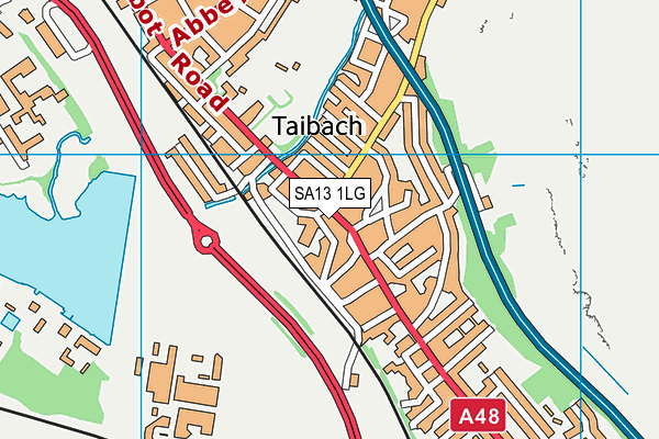 SA13 1LG map - OS VectorMap District (Ordnance Survey)