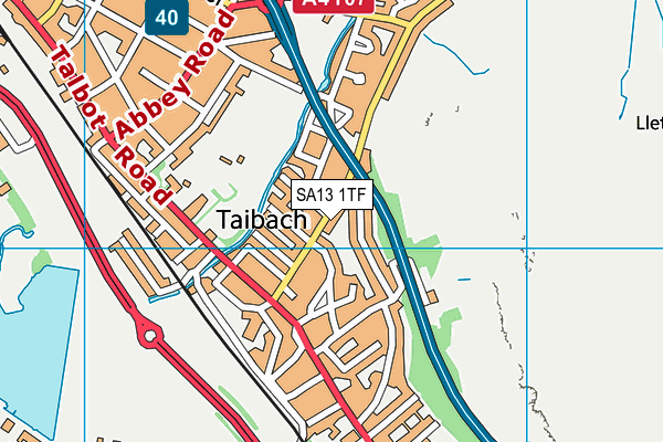 SA13 1TF map - OS VectorMap District (Ordnance Survey) SA13 1TF map - OS VectorMap District (Ordnance Survey)