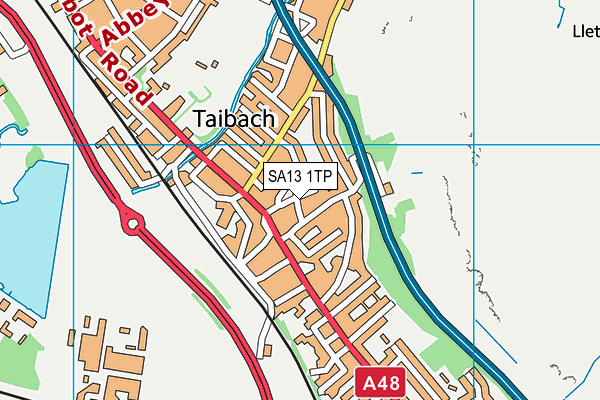 SA13 1TP map - OS VectorMap District (Ordnance Survey) SA13 1TP map - OS VectorMap District (Ordnance Survey)