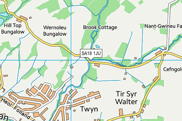 SA18 1JU map - OS VectorMap District (Ordnance Survey) SA18 1JU map - OS VectorMap District (Ordnance Survey)