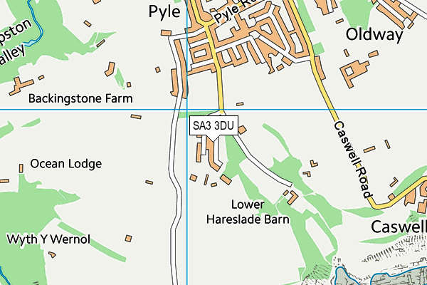 SA3 3DU map - OS VectorMap District (Ordnance Survey) SA3 3DU map - OS VectorMap District (Ordnance Survey)