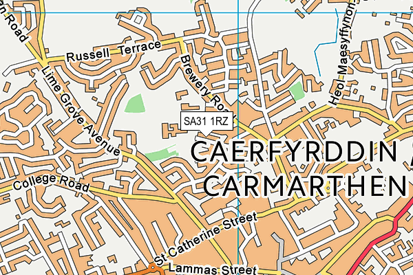 SA31 1RZ map - OS VectorMap District (Ordnance Survey) SA31 1RZ map - OS VectorMap District (Ordnance Survey)