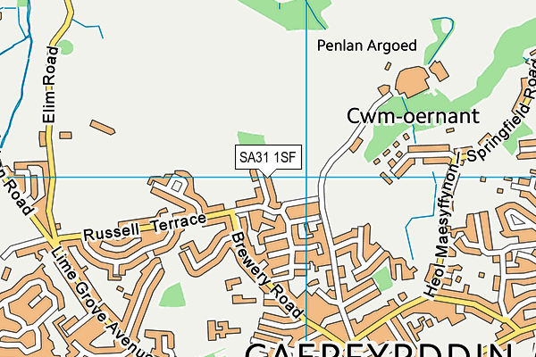 SA31 1SF map - OS VectorMap District (Ordnance Survey) SA31 1SF map - OS VectorMap District (Ordnance Survey)