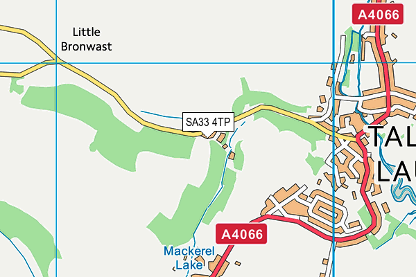 SA33 4TP map - OS VectorMap District (Ordnance Survey) SA33 4TP map - OS VectorMap District (Ordnance Survey)