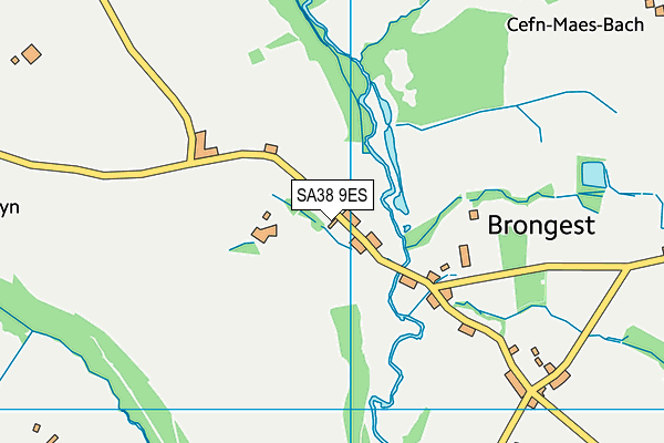 SA38 9ES map - OS VectorMap District (Ordnance Survey) SA38 9ES map - OS VectorMap District (Ordnance Survey)