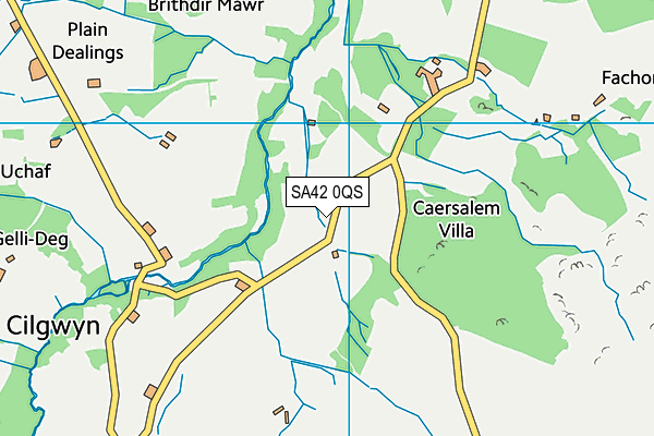 SA42 0QS map - OS VectorMap District (Ordnance Survey) SA42 0QS map - OS VectorMap District (Ordnance Survey)