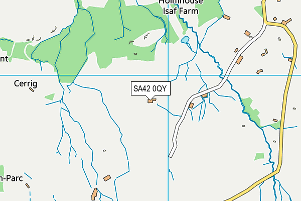 SA42 0QY map - OS VectorMap District (Ordnance Survey) SA42 0QY map - OS VectorMap District (Ordnance Survey)
