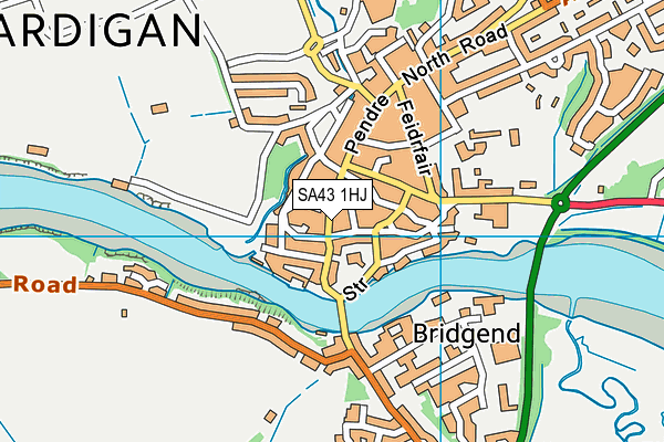SA43 1HJ map - OS VectorMap District (Ordnance Survey) SA43 1HJ map - OS VectorMap District (Ordnance Survey)