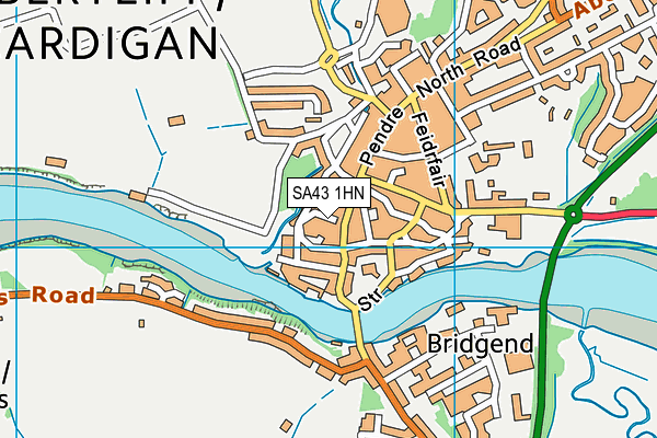 SA43 1HN map - OS VectorMap District (Ordnance Survey) SA43 1HN map - OS VectorMap District (Ordnance Survey)