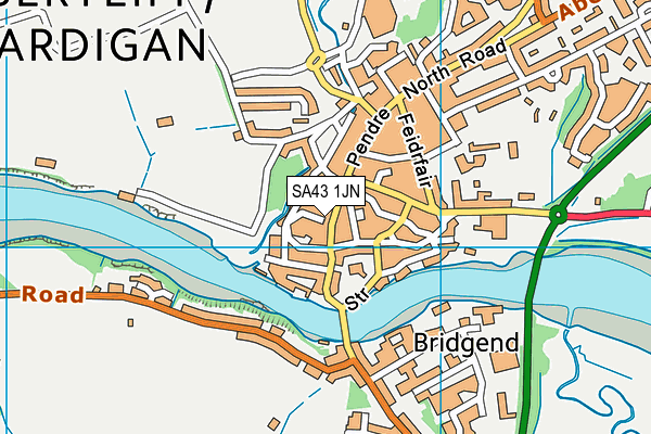 SA43 1JN map - OS VectorMap District (Ordnance Survey) SA43 1JN map - OS VectorMap District (Ordnance Survey)