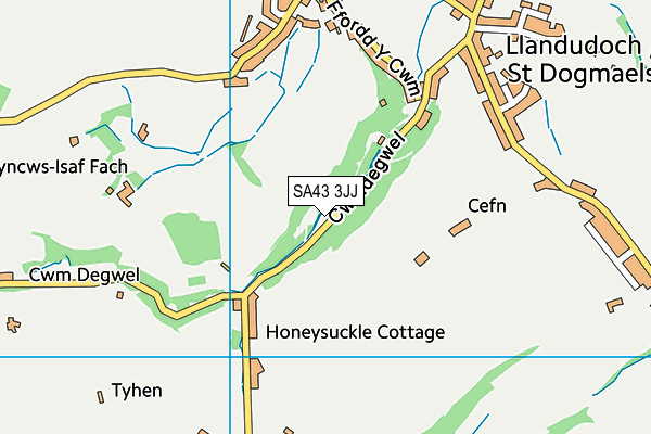 SA43 3JJ map - OS VectorMap District (Ordnance Survey) SA43 3JJ map - OS VectorMap District (Ordnance Survey)