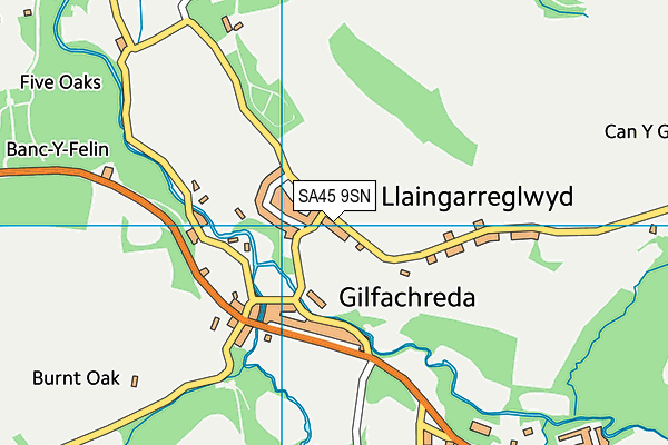 SA45 9SN map - OS VectorMap District (Ordnance Survey) SA45 9SN map - OS VectorMap District (Ordnance Survey)