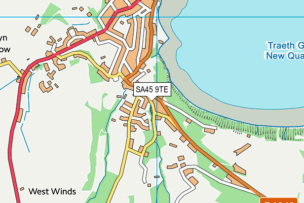 SA45 9TE map - OS VectorMap District (Ordnance Survey) SA45 9TE map - OS VectorMap District (Ordnance Survey)