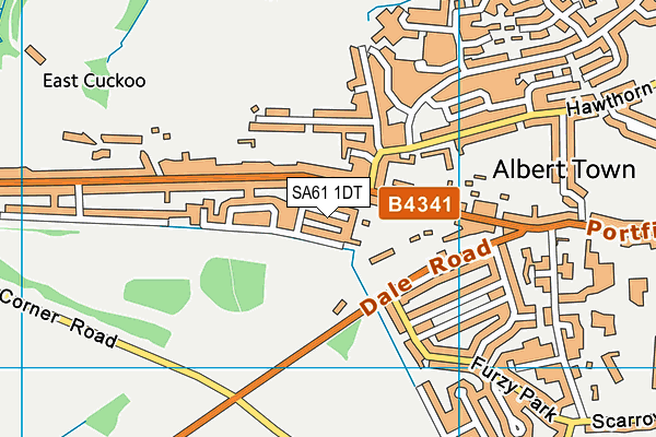 SA61 1DT map - OS VectorMap District (Ordnance Survey) SA61 1DT map - OS VectorMap District (Ordnance Survey)