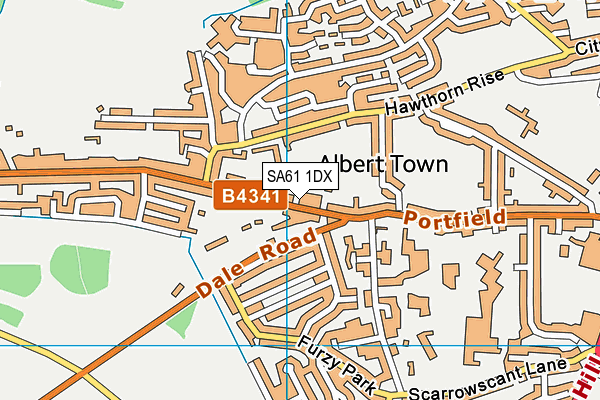 SA61 1DX map - OS VectorMap District (Ordnance Survey) SA61 1DX map - OS VectorMap District (Ordnance Survey)