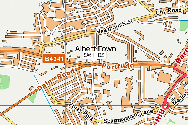 SA61 1DZ map - OS VectorMap District (Ordnance Survey) SA61 1DZ map - OS VectorMap District (Ordnance Survey)