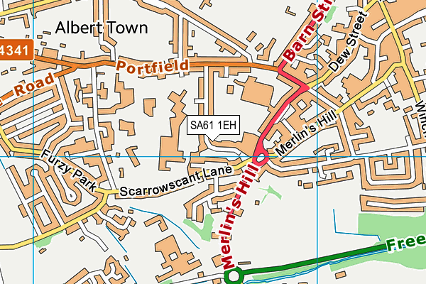 SA61 1EH map - OS VectorMap District (Ordnance Survey) SA61 1EH map - OS VectorMap District (Ordnance Survey)