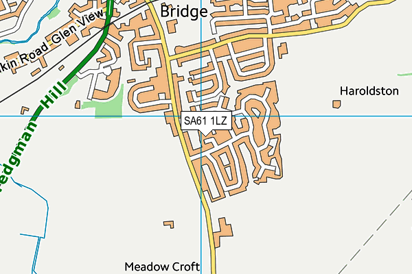 SA61 1LZ map - OS VectorMap District (Ordnance Survey)