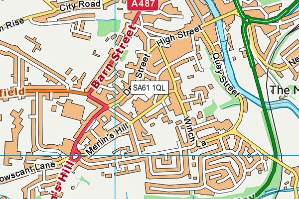 SA61 1QL map - OS VectorMap District (Ordnance Survey) SA61 1QL map - OS VectorMap District (Ordnance Survey)