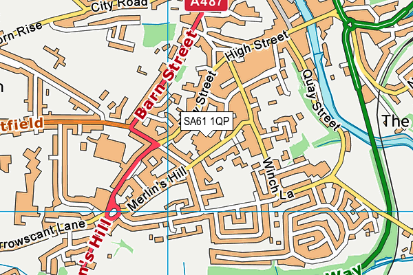 SA61 1QP map - OS VectorMap District (Ordnance Survey) SA61 1QP map - OS VectorMap District (Ordnance Survey)