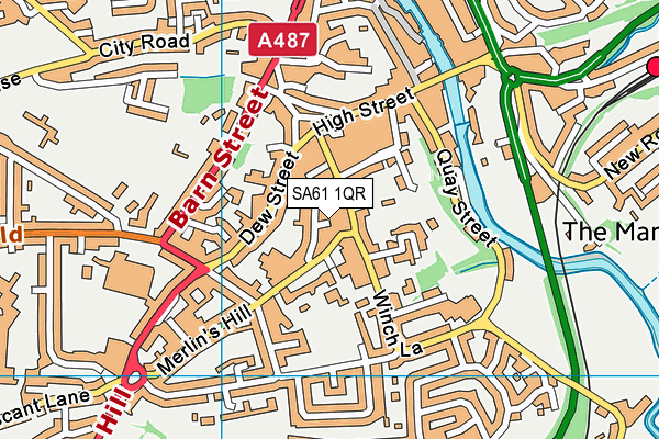 SA61 1QR map - OS VectorMap District (Ordnance Survey) SA61 1QR map - OS VectorMap District (Ordnance Survey)