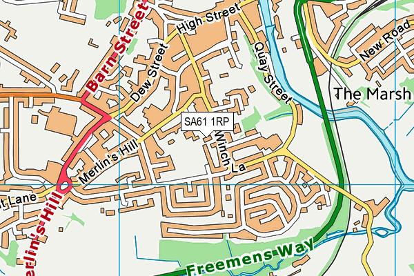 SA61 1RP map - OS VectorMap District (Ordnance Survey) SA61 1RP map - OS VectorMap District (Ordnance Survey)