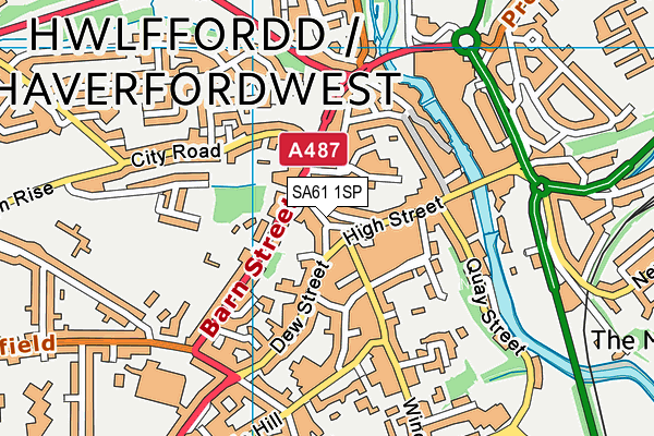 SA61 1SP map - OS VectorMap District (Ordnance Survey) SA61 1SP map - OS VectorMap District (Ordnance Survey)
