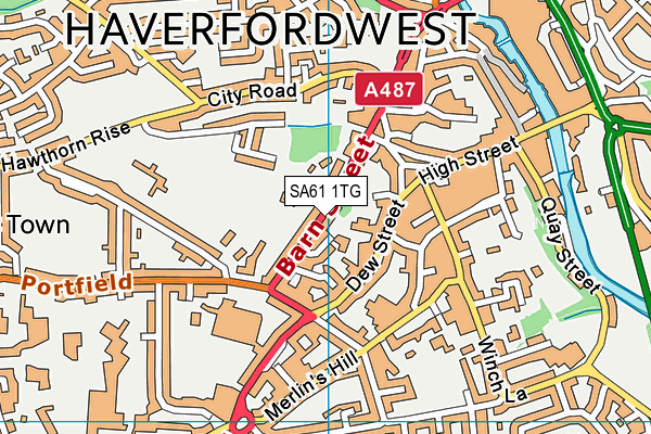 SA61 1TG map - OS VectorMap District (Ordnance Survey) SA61 1TG map - OS VectorMap District (Ordnance Survey)