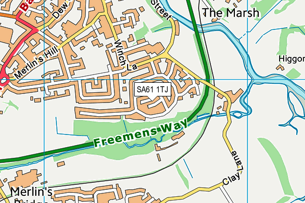 SA61 1TJ map - OS VectorMap District (Ordnance Survey) SA61 1TJ map - OS VectorMap District (Ordnance Survey)