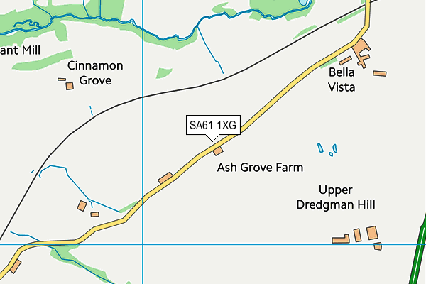 SA61 1XG map - OS VectorMap District (Ordnance Survey)